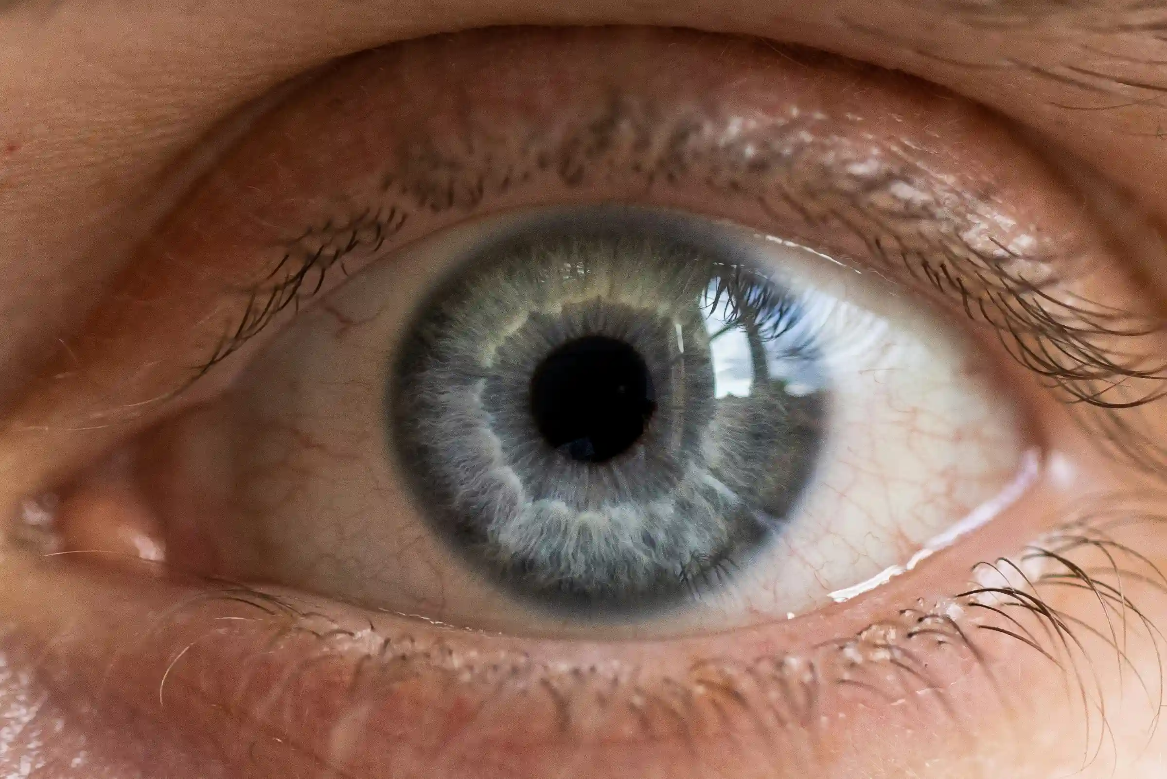 A close up of a person's blue eye.